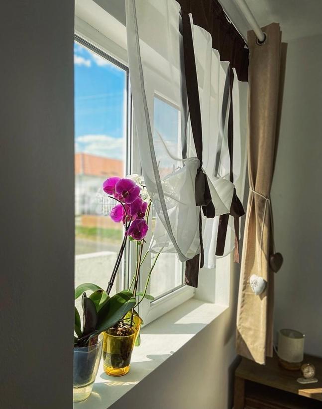 Country House Hatagel Dış mekan fotoğraf